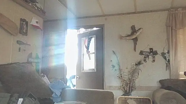 Yankeedave420 online show from November 2025 06:08:01 PM