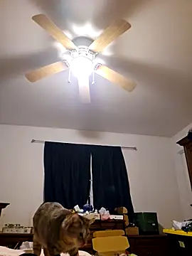 ScarletCallings420 online show from February 2025 03:27:01 PM