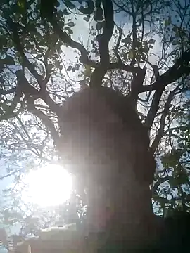 Mohni Das online show from March 2026 07:47:02 AM