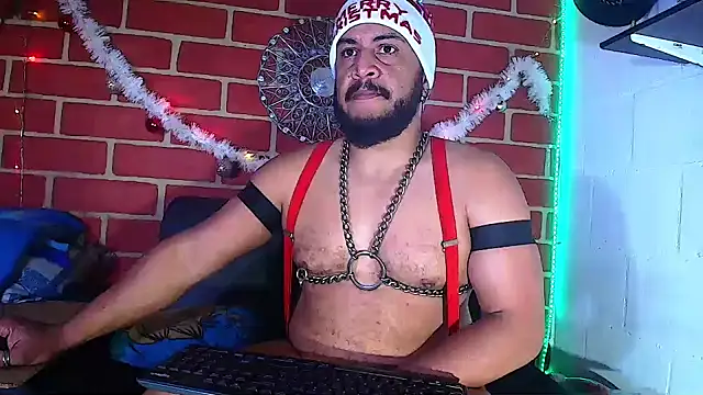 the master foal  online show from December 2024 04:41:01 AM