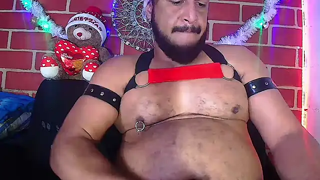 the master foal  online show from December 2024 02:42:01 PM