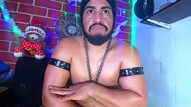 the master foal  online show from December 2024 09:31:02 AM