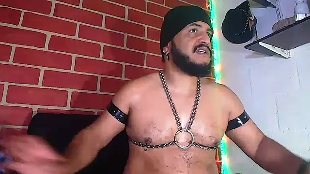 the master foal  online show from January 2025 06:14:01 PM