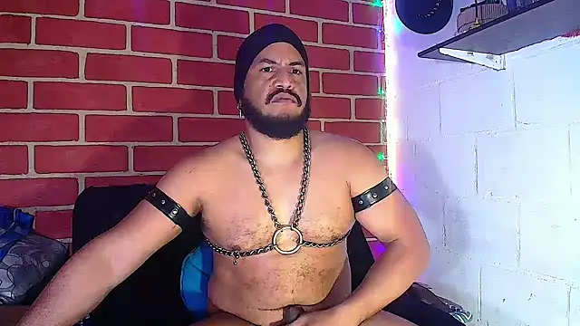 the master foal  online show from January 2025 02:00:02 PM