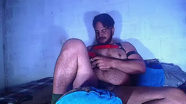 the master foal  online show from March 2025 10:48:01 AM