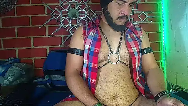 the master foal  online show from March 2025 07:52:02 AM