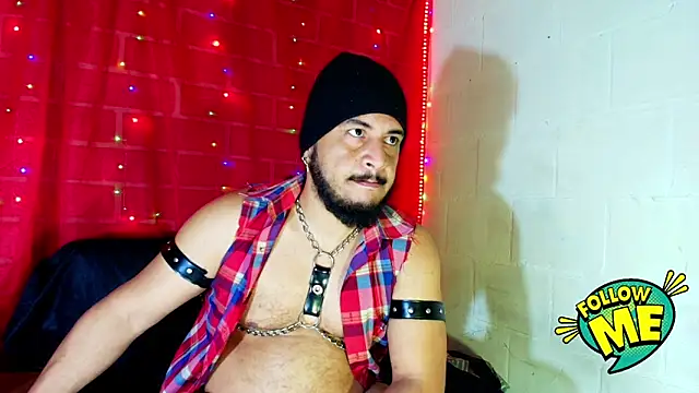 the master foal  online show from September 2025 10:39:02 AM