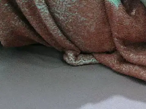 Snapshot of FUN4TIPS chatting on March 2025 06:37:02 AM FUN4TIPS online show from March 2025 06:37:02 AM