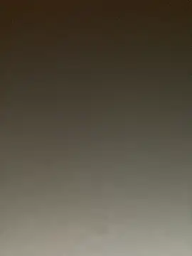 Snapshot of ToysRus24 chatting on January 2025 08:28:01 PM ToysRus24 online show from January 2025 08:28:01 PM