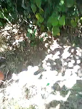 Snapshot of mariamac420 chatting on January 2026 06:01:01 PM mariamac420 online show from January 2026 06:01:01 PM