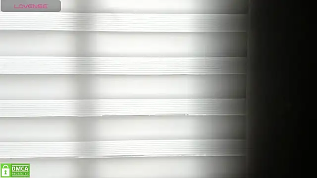 Snapshot of _dinna chatting on March 2025 04:44:02 PM dinna online show from March 2025 04:44:02 PM