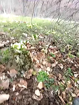 Snapshot of Yaramaz331 chatting on March 2026 11:32:01 AM Yaramaz331 online show from March 2026 11:32:01 AM