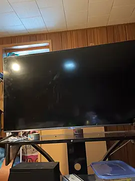 Mini And The Bear online show from March 2026 03:01:01 PM