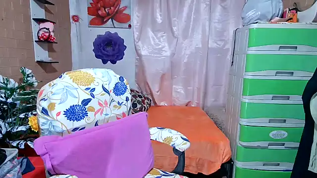 M e c e l online show from June 2026 06:47:01 PM