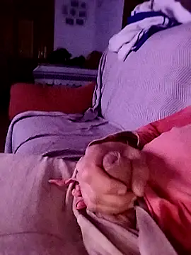 juandi21cm online show from January 2025 01:47:02 AM