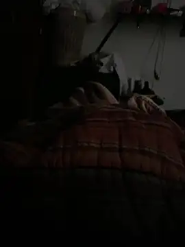 simonovic online show from February 2026 03:43:01 PM