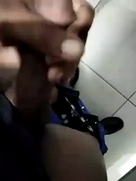 TitularAdaption online show from October 2025 12:58:01 PM