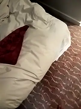 TitularAdaption online show from February 2026 06:03:01 AM