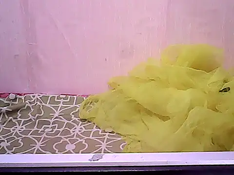 Snapshot of bridgette4u chatting on December 2025 12:27:01 AM bridgette4u online show from December 2025 12:27:01 AM