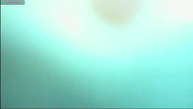 moana taylor online show from May 2026 12:02:01 PM