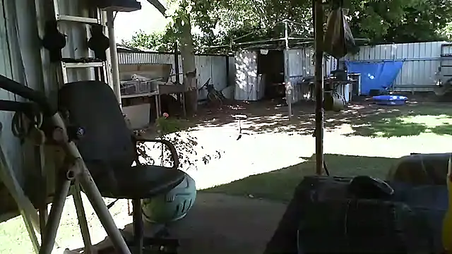 Snapshot of herbie010666 chatting on December 2024 06:06:02 AM herbie010666 online show from December 2024 06:06:02 AM