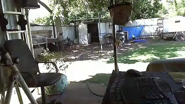 Snapshot of herbie010666 chatting on January 2025 05:11:01 AM herbie010666 online show from January 2025 05:11:01 AM