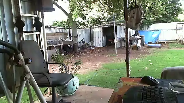 Snapshot of herbie010666 chatting on February 2025 07:54:02 AM herbie010666 online show from February 2025 07:54:02 AM