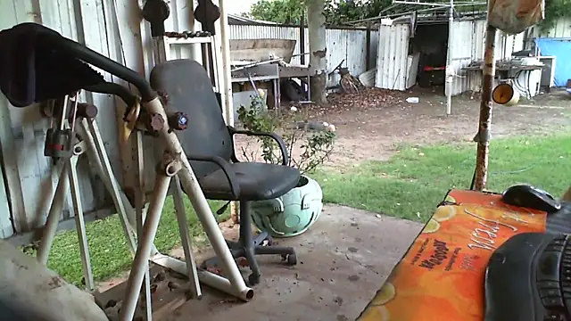 Snapshot of herbie010666 chatting on February 2025 08:29:02 AM herbie010666 online show from February 2025 08:29:02 AM