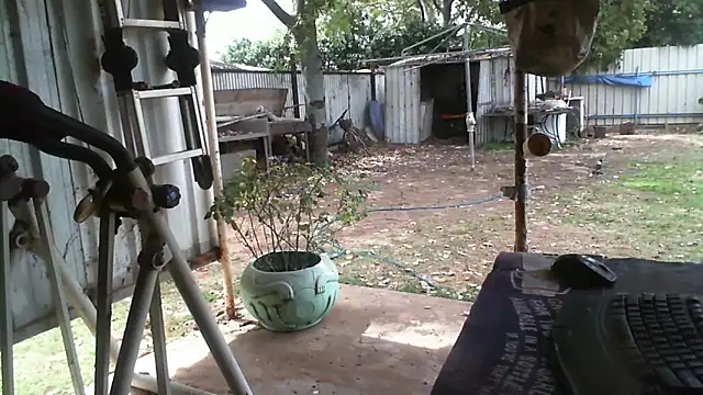 Snapshot of herbie010666 chatting on September 2025 03:29:01 AM herbie010666 online show from September 2025 03:29:01 AM