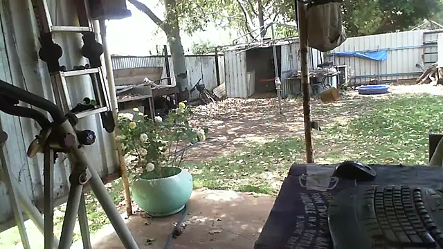 Snapshot of herbie010666 chatting on October 2025 02:32:01 AM herbie010666 online show from October 2025 02:32:01 AM