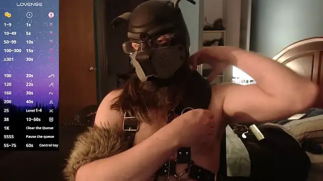 kinkywolf429 online show from January 2025 05:13:01 AM