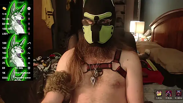 kinkywolf429 online show from July 2026 11:15:01 PM