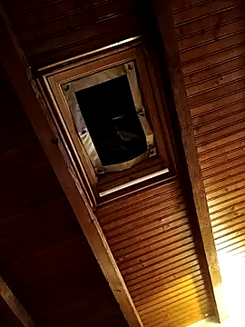 Snapshot of CurlyElisa chatting on February 2026 09:36:02 PM CurlyElisa online show from February 2026 09:36:02 PM