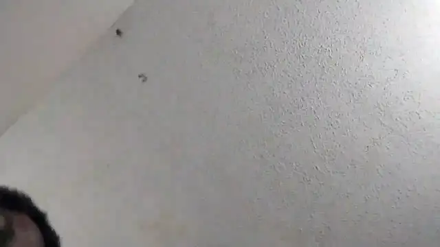 247Srokin online show from March 2026 11:01:01 PM