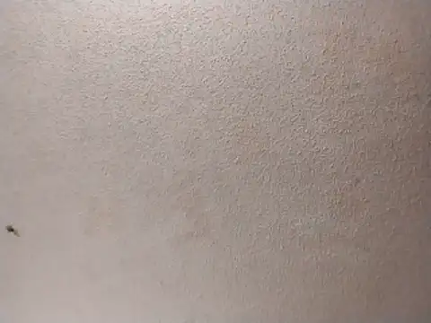 247Srokin online show from May 2026 07:46:02 AM
