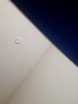 Snapshot of Ryeguy6969 chatting on February 2025 04:04:01 PM Ryeguy6969 online show from February 2025 04:04:01 PM