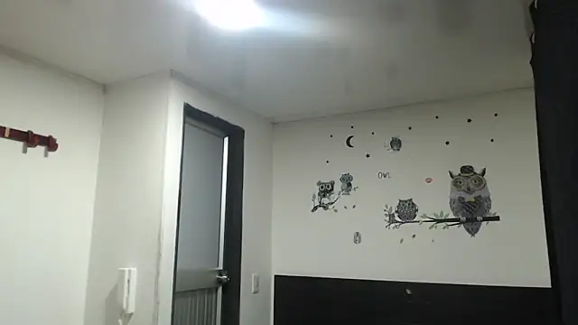 stifen  online show from January 2025 03:41:01 AM