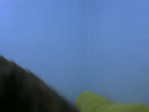 Forsia online show from February 2025 05:57:02 AM