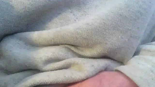 OralDesires2 online show from February 2025 07:31:02 PM