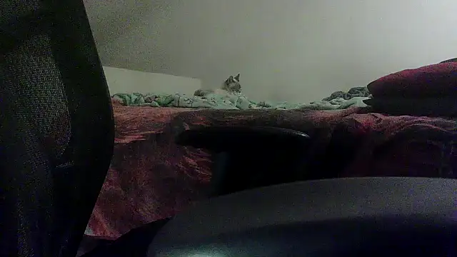 OralDesires2 online show from February 2025 11:46:02 PM