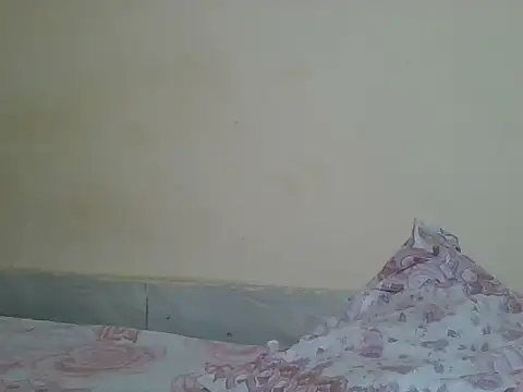 sexyjanett online show from April 2026 05:50:01 PM