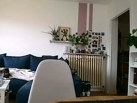 Snapshot of Simon-tem chatting on February 2026 01:38:01 PM Simon-tem online show from February 2026 01:38:01 PM