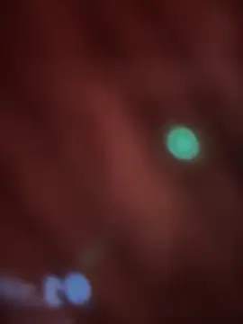 Snapshot of _Danna chatting on February 2026 11:07:01 AM Danna online show from February 2026 11:07:01 AM