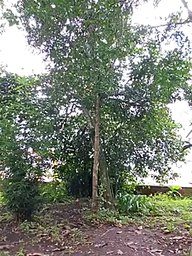 Yuky ta online show from February 2025 05:50:01 PM