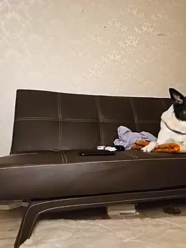 Snapshot of Marushka chatting on December 2024 06:12:02 PM Marushka online show from December 2024 06:12:02 PM