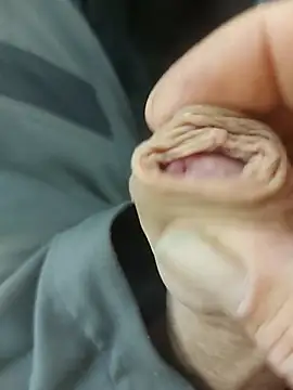 StarredAndrej online show from November 2025 02:28:01 PM