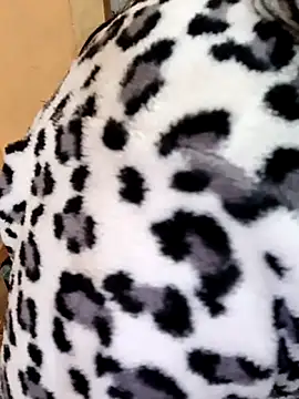 Diya 143 online show from December 2025 06:10:02 AM