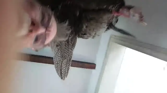 Snapshot of CDforU chatting on February 2026 05:52:01 PM CDforU online show from February 2026 05:52:01 PM