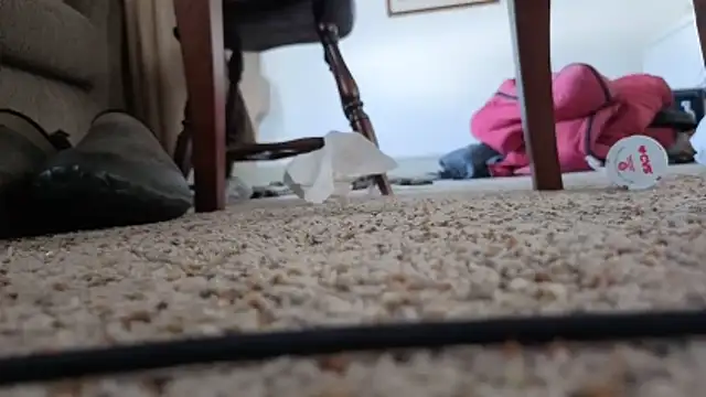 Snapshot of CDforU chatting on February 2026 06:01:01 PM CDforU online show from February 2026 06:01:01 PM