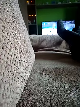 Snapshot of vena4 chatting on February 2026 08:55:01 AM vena4 online show from February 2026 08:55:01 AM